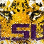 LSU 2011 01